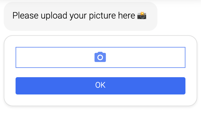 data_collection_image_upload_demo