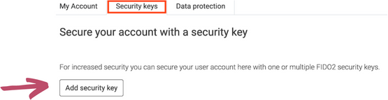 Icon Security Key